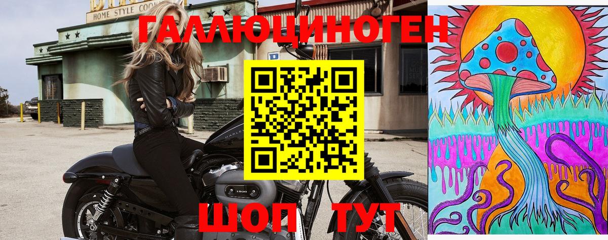 Галлюциногенные грибы Psilocybine cubensis Медногорск